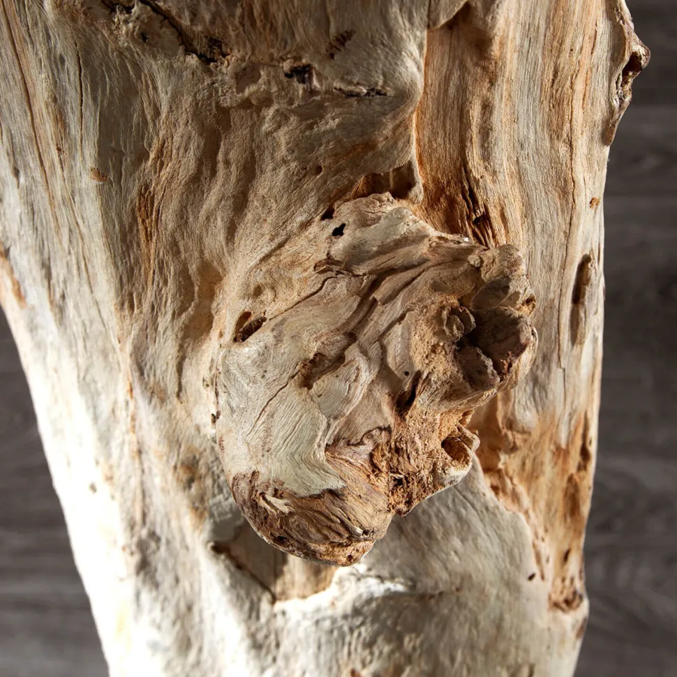 Stehlampe 175cm Modern individuell Treibholz