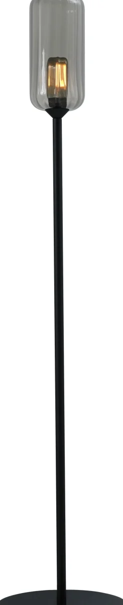 Stehlampe Schwarz 165 cm E27 Rauchglas Metall