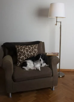 Stehleuchte mit Leselampe 157 cm Messing antik Weiß E27 + LED