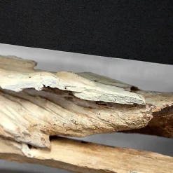 Tischlampe Treibholz Modern kunstvoll individuell