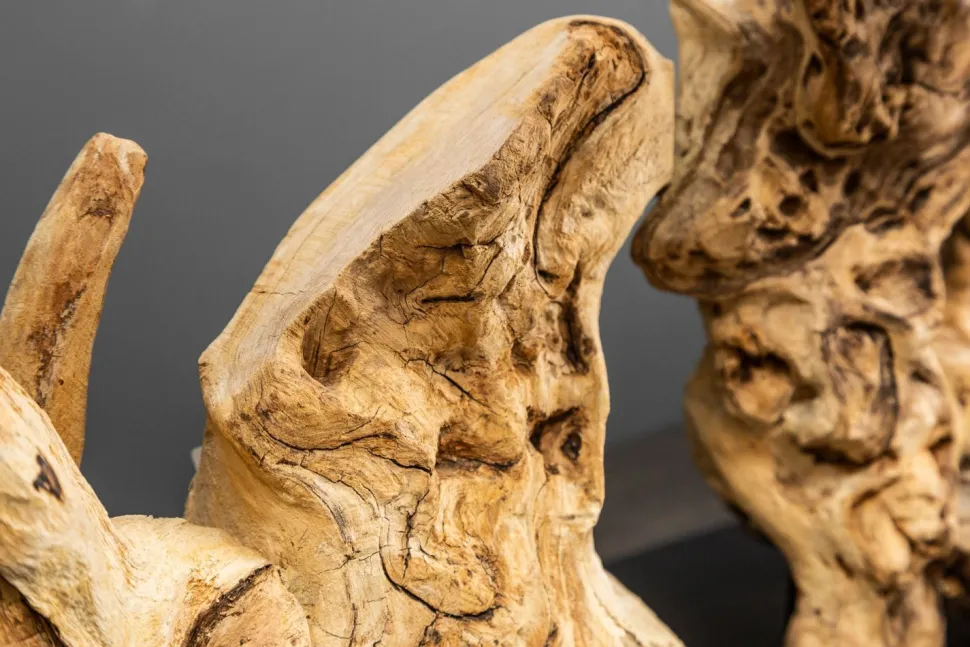 Treibholz Tischlampe PECIOS Modern Design Unikat