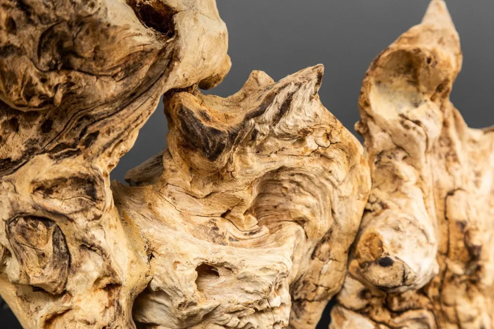 Treibholz Tischlampe PECIOS Modern Design Unikat