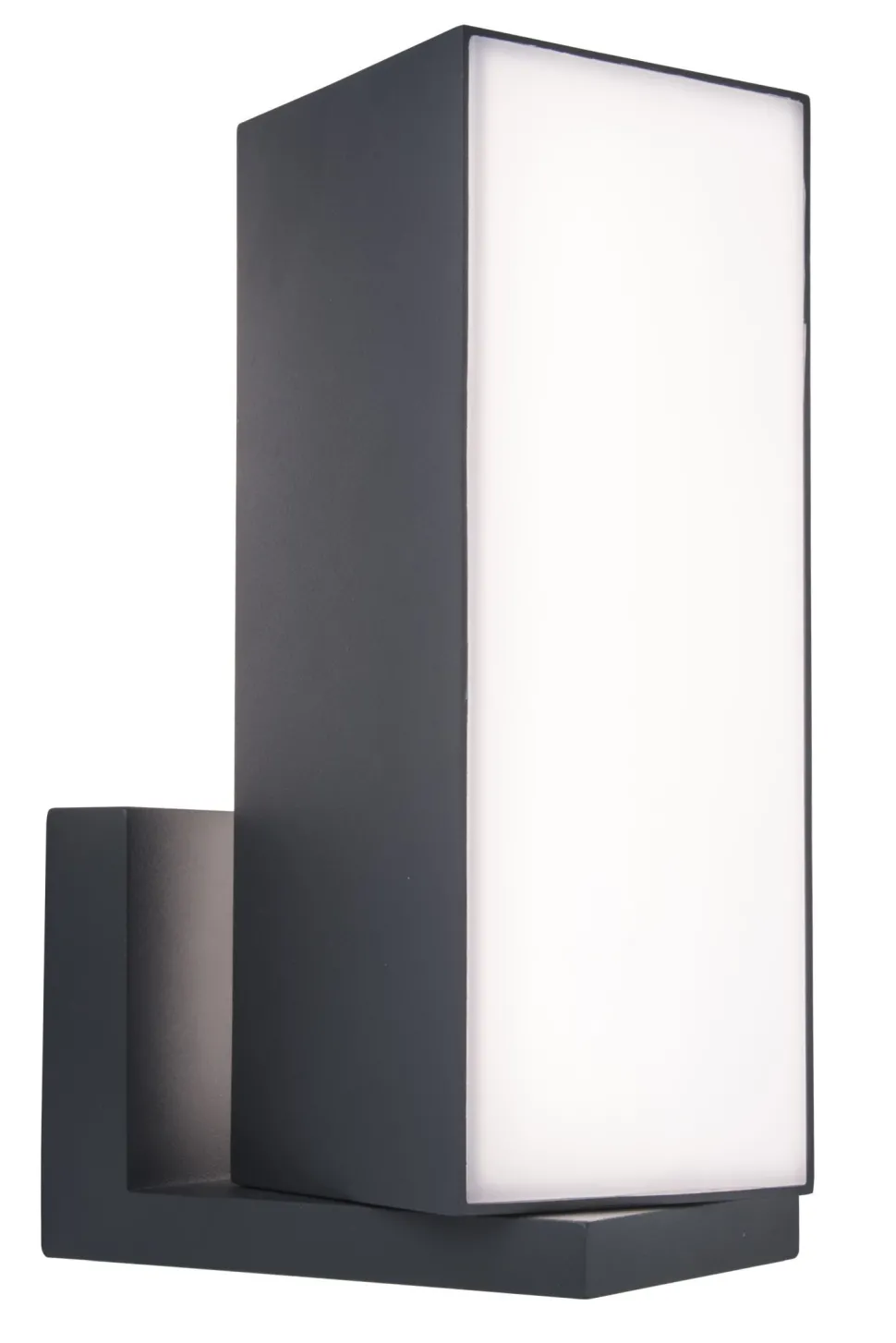 Verstellbare LED Außenwandlampe RGB IP54 15 W dimmbar