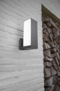 Verstellbare LED Außenwandlampe RGB IP54 15 W dimmbar