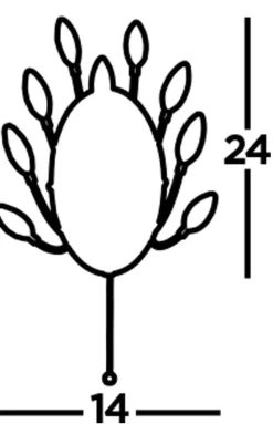 Wandleuchte mit Schalter Kristall H: 24 cm Chrom Klar 2x G9