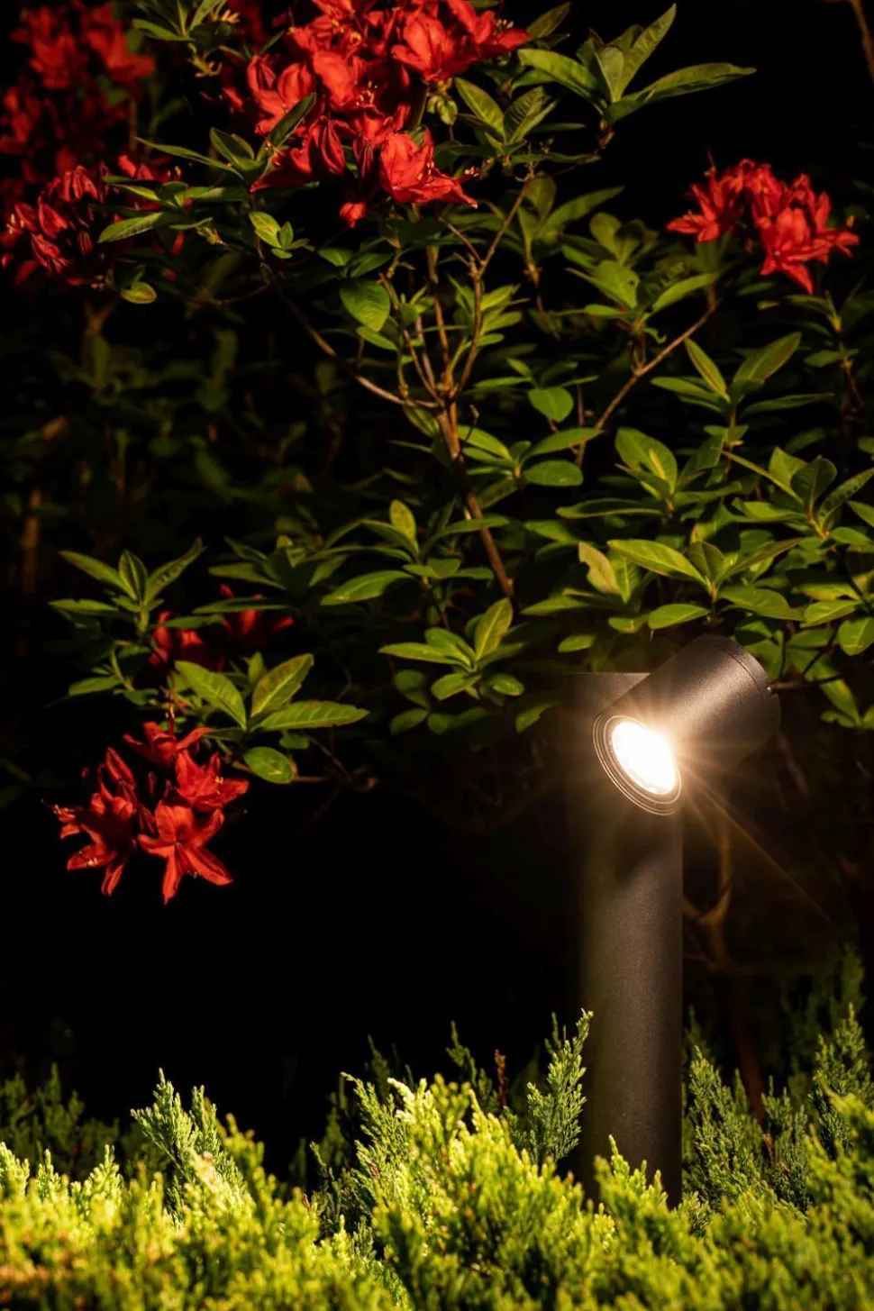 Wegeleuchte IP54 Schwarz GU10 55 cm Glas Aluminium schwenkbar